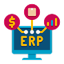 Custom ERP Solutions